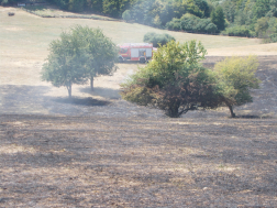 Szabadtéri tűzeset Orfűn (08.15.)