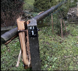 Pécsen a viharos erejű szél miatt kidőlt fa egy villanyoszlopot is eltört.