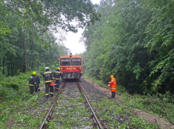 Vasúti sínre dőlt egy fa Sellye közelében
