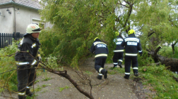 Kidőlt fa okozott útzárat Szigetváron