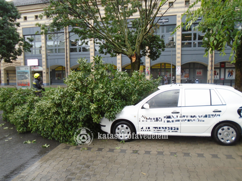 fa dőlt egy személyautó motorházetőjére