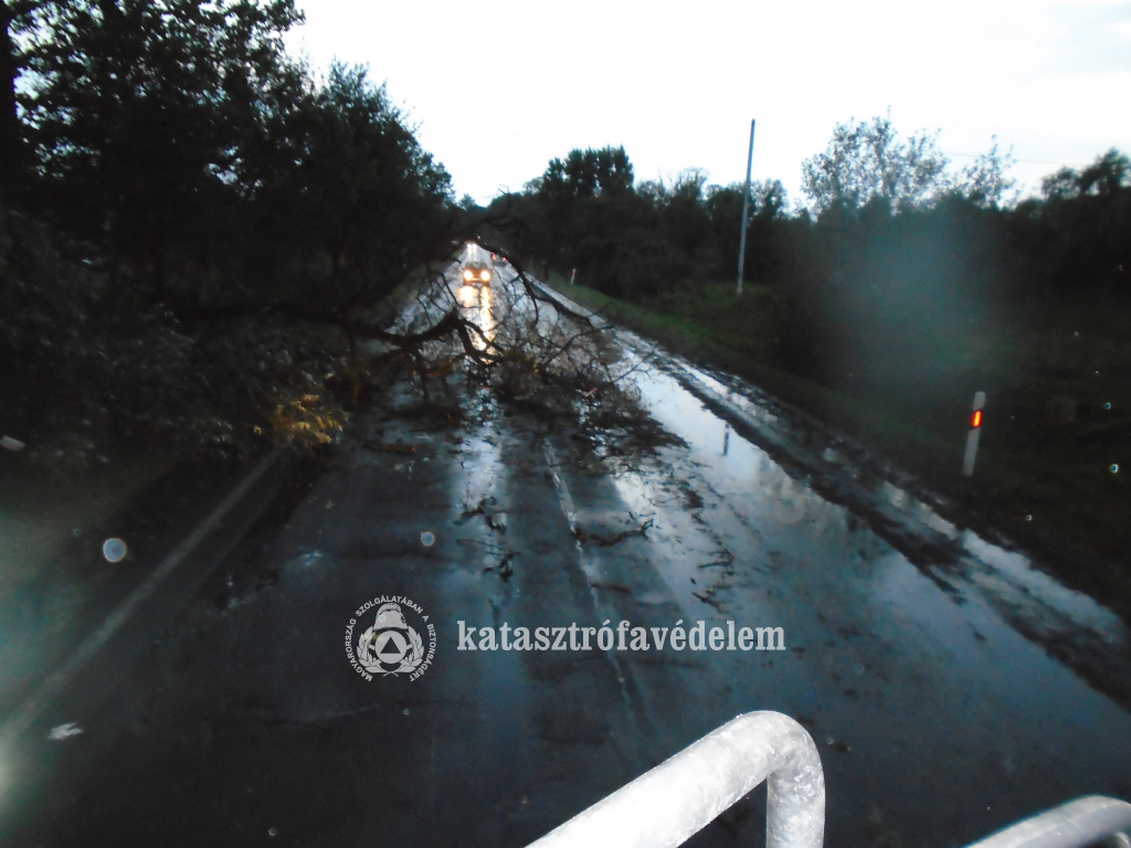 Hétfőn este a viharos erejű szél miatt több helyen is fák dőltek az úttestre, akadályozva ezzel a közlekedést.