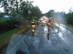 Hétfőn este a vihar miatt kidőlt fák adtak munkát a tűzoltóknak.