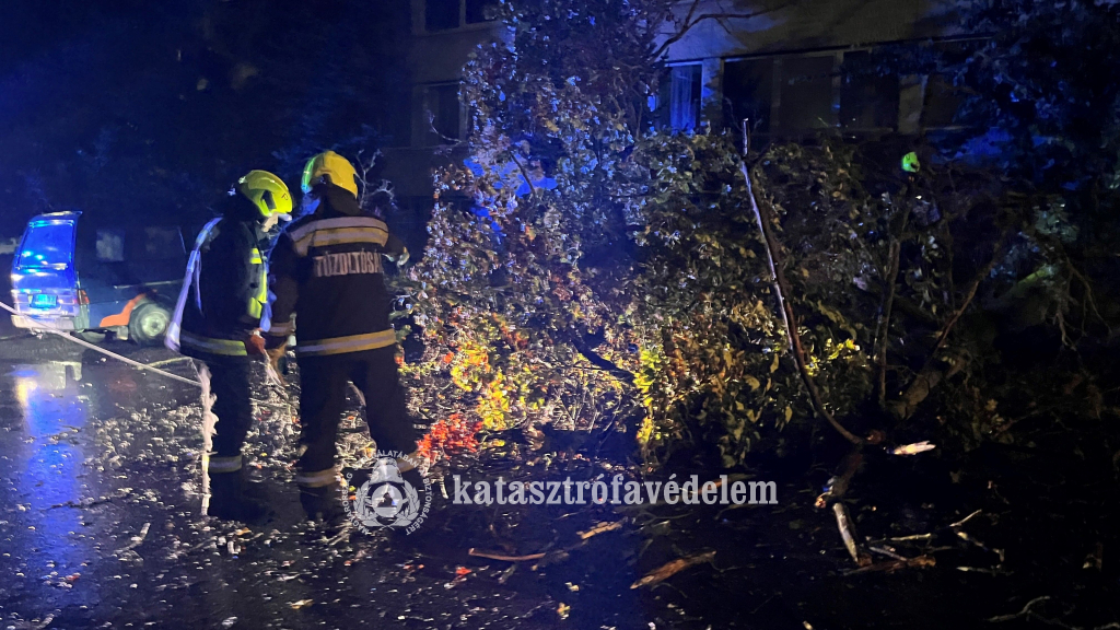fát távolítanak el a tűzoltók az útról