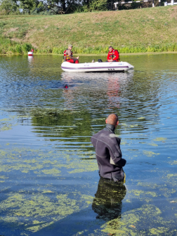 Nem csak földön, vízen is kiválóan teljesítenek