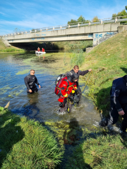 Nem csak földön, vízen is kiválóan teljesítenek