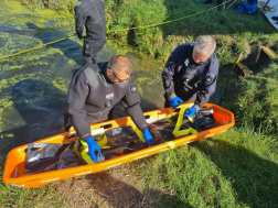 Nem csak földön, vízen is kiválóan teljesítenek