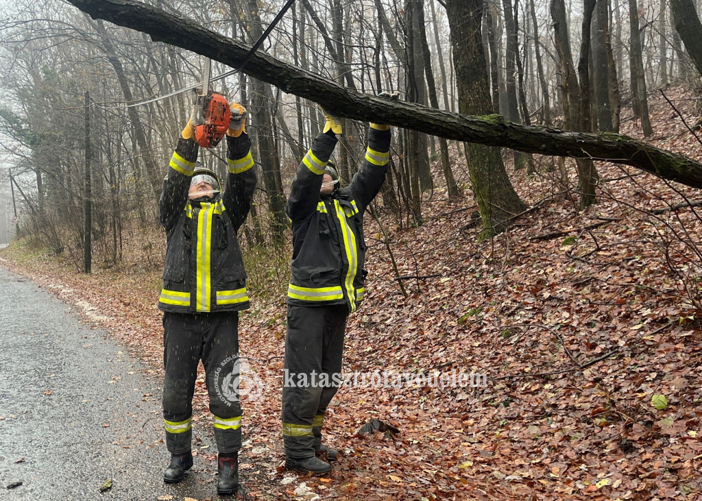 tűzoltók eltávolítják a kidőlt fát
