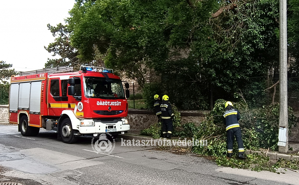 fát távolítanak el a tűzoltók a járdáról