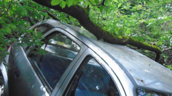 Pécsen, a viharos erejű szél miatt egy fa két személygépjárműre dőlt.