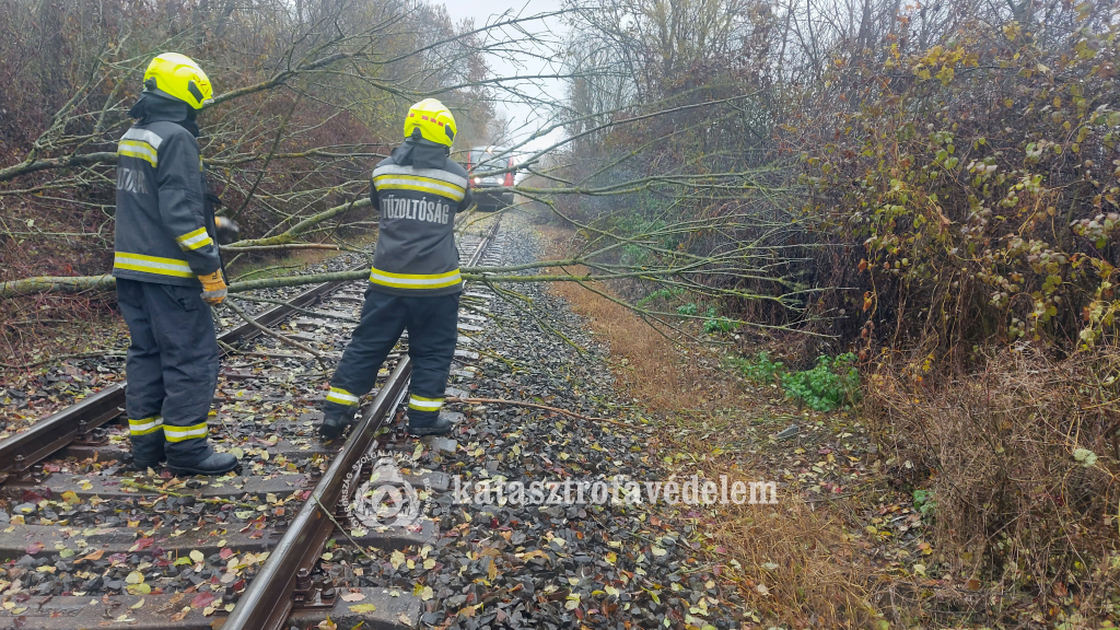 tűzoltók eltávolítják a sínekre dőlt fát