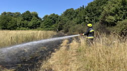 Pécsett, a Rosta dűlőben cserjés gyulladt ki.