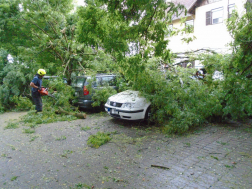 A viharos szél miatt sok esetben parkoló járművekre dőlt a fa.
