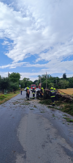 A viharos időjárás több helyen is útra döntötte a fákat, amit a tűzoltók távolítottak el.