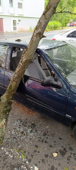 A viharos szél miatt sok esetben parkoló járművekre dőlt a fa.