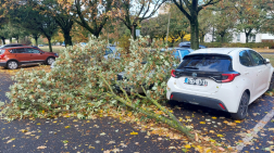 Parkoló autókra is estek a letört faágakból.