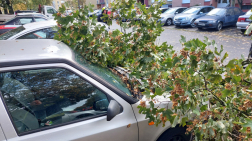 Parkoló autókra is estek a letört faágakból.