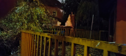 Kidőlt fák miatt vonultak a tűzoltók az elmúlt órákban.