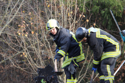 Katasztrófavédelem