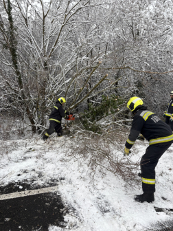 Katasztrófavédelem