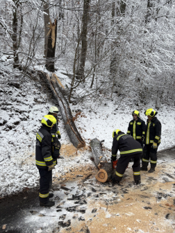 Katasztrófavédelem