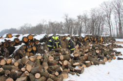 Tűzifát darabolnak fel a tűzoltók.