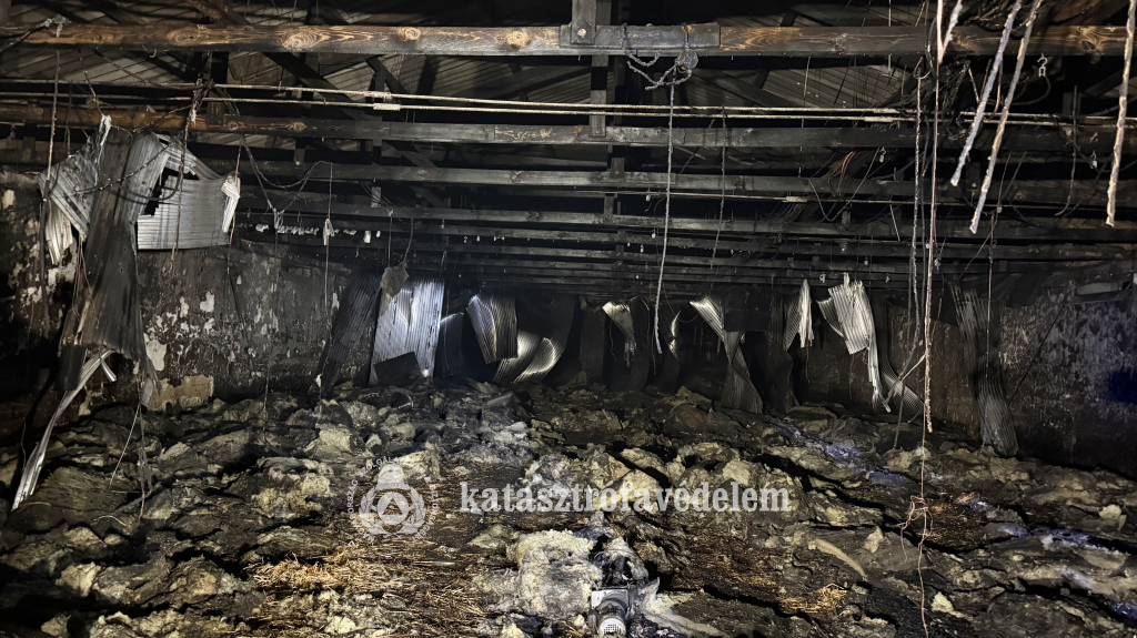 a kiégett istálló