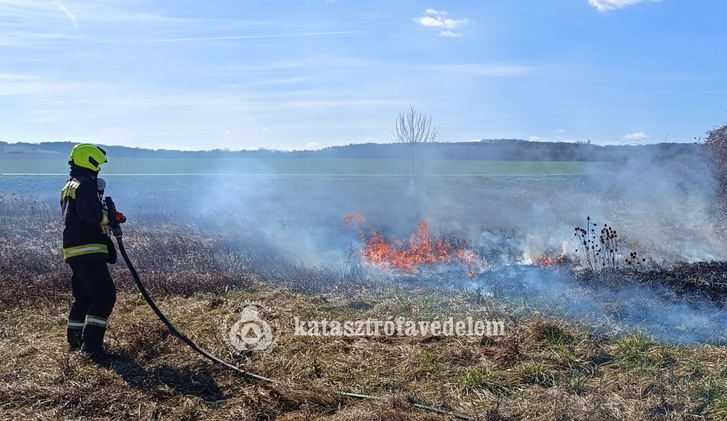 tűzoltó oltja a lángoló növényzetet