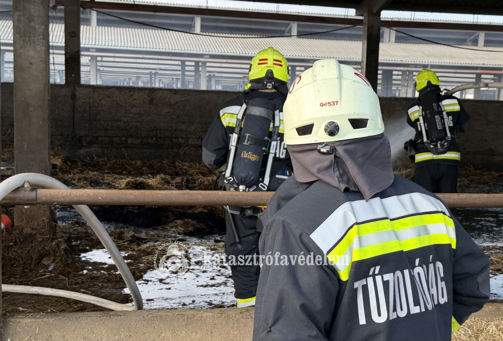 tűzoltók oltják a szalmát