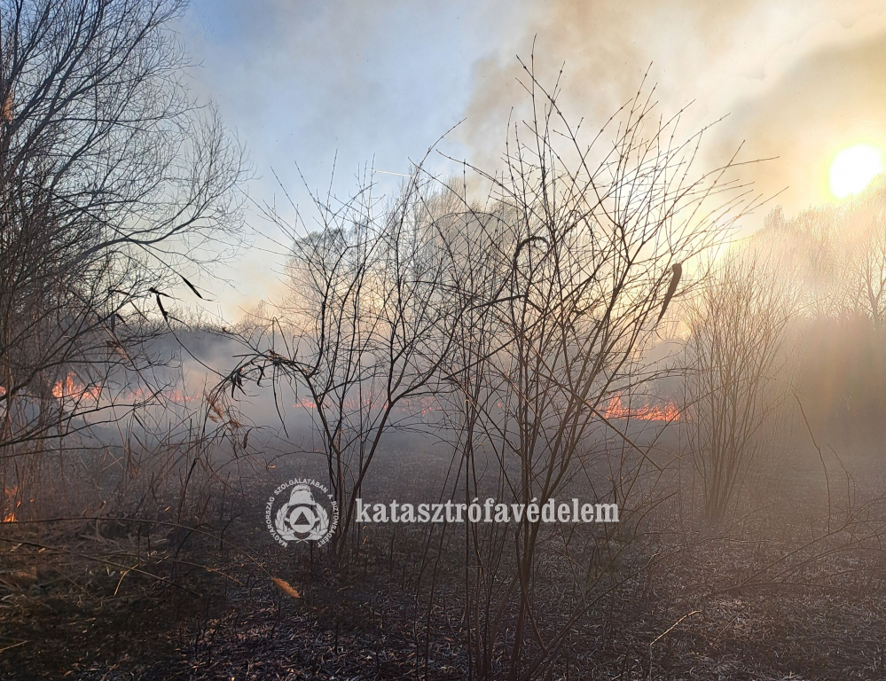 lángok a bokros területen