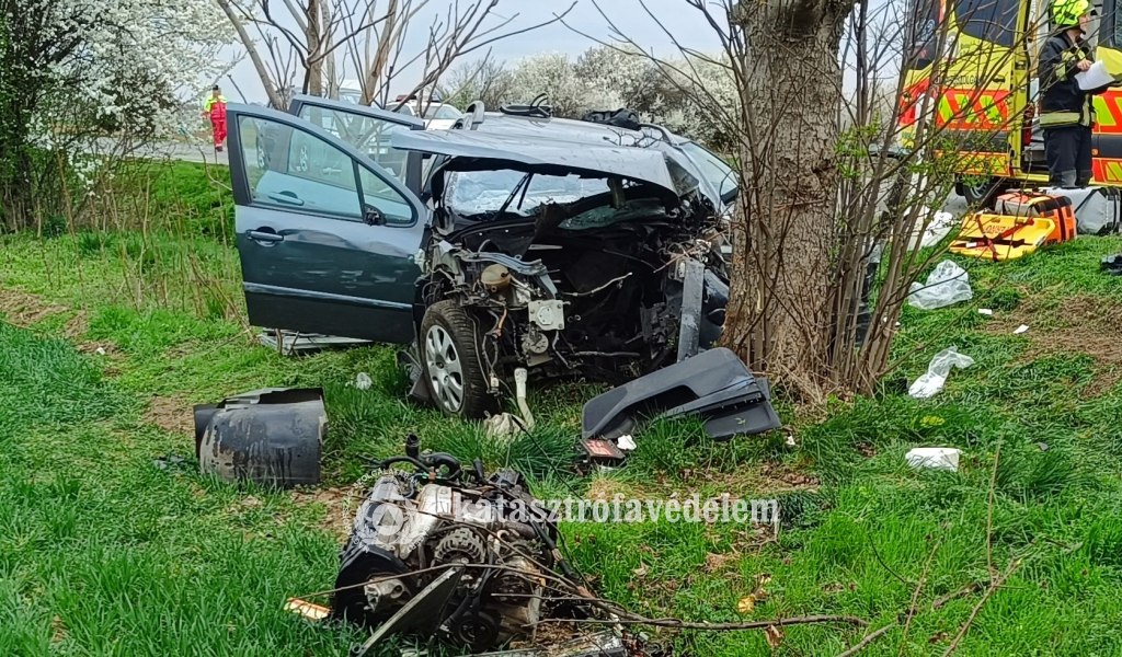 fának csapódott kocsi