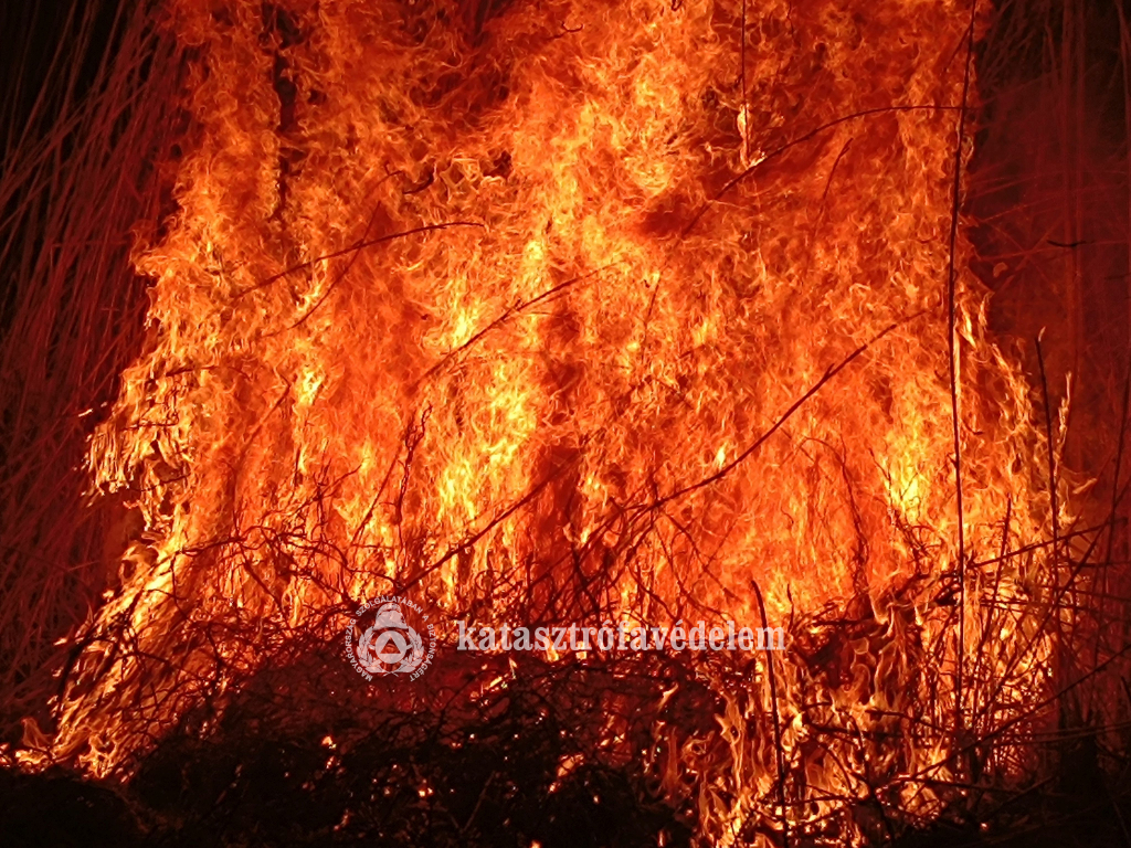 lángoló nádas