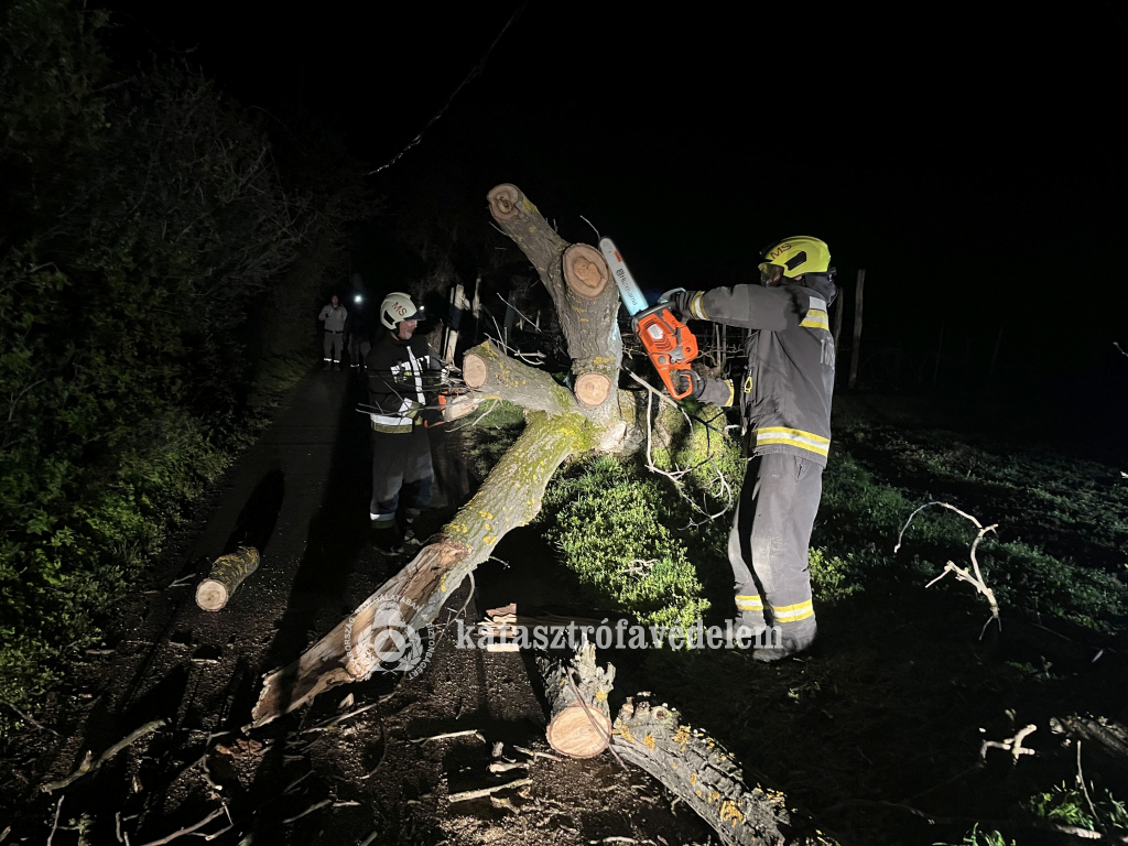 tűzoltók darabolják az úttestre dőlt fát