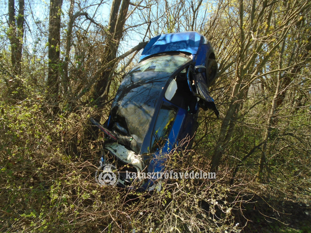 fákon fennakadt autó