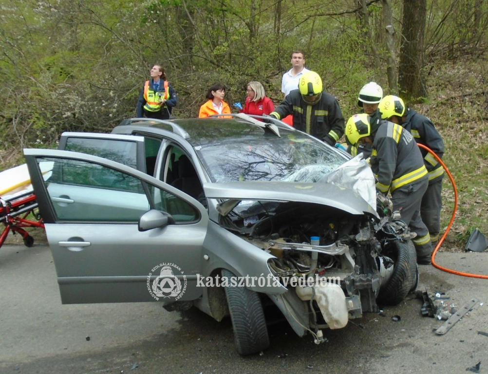 tűzoltók mentés közben