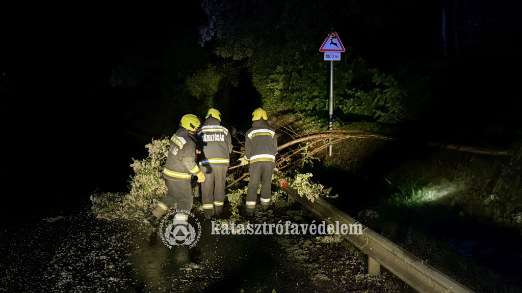 tűzoltók eltávolítják a fát
