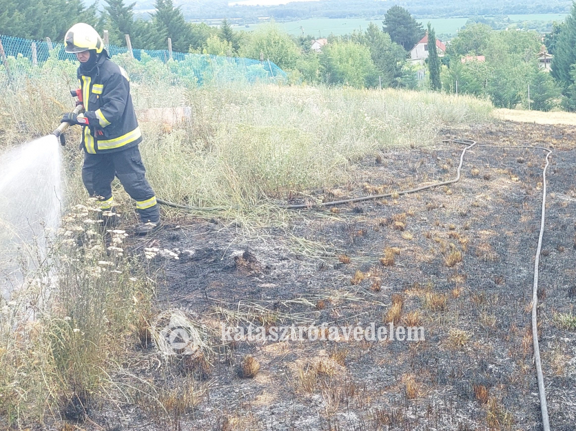 tűzoltó oltja a területet
