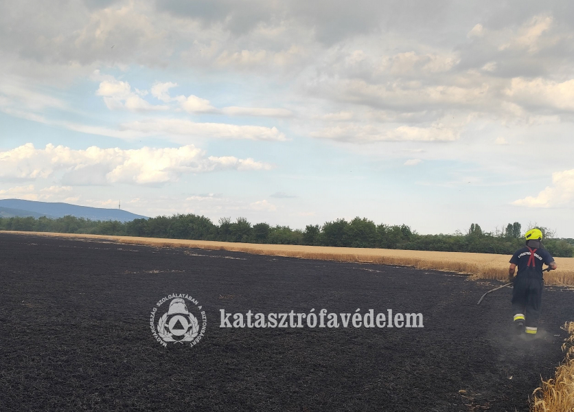 tűzoltó a leégett területen