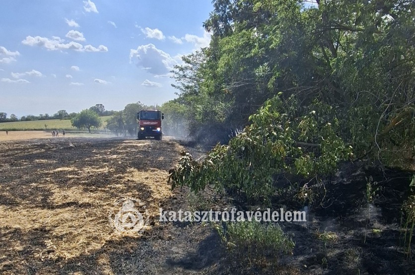 tűzoltóautó a tűzzel érintett területen