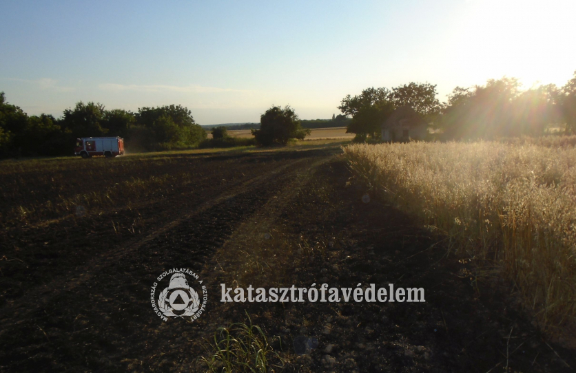 tűzoltóautó a területen