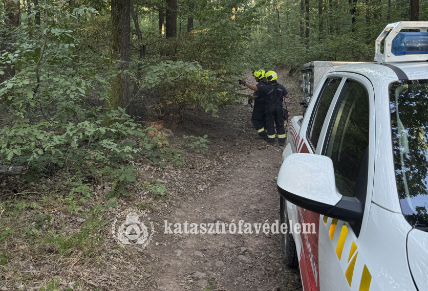 tűzoltók az erdőben