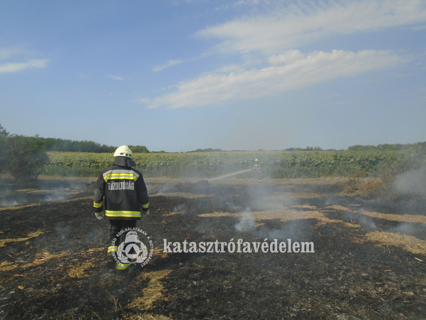 tűzoltók a leégett területen