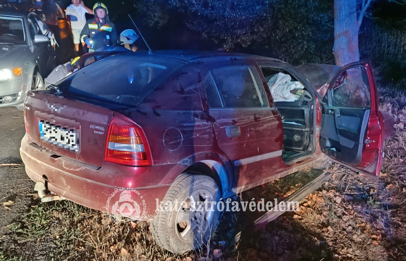 fának ütközött autó