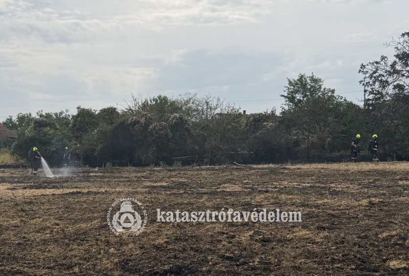tűzoltók oltják a területet