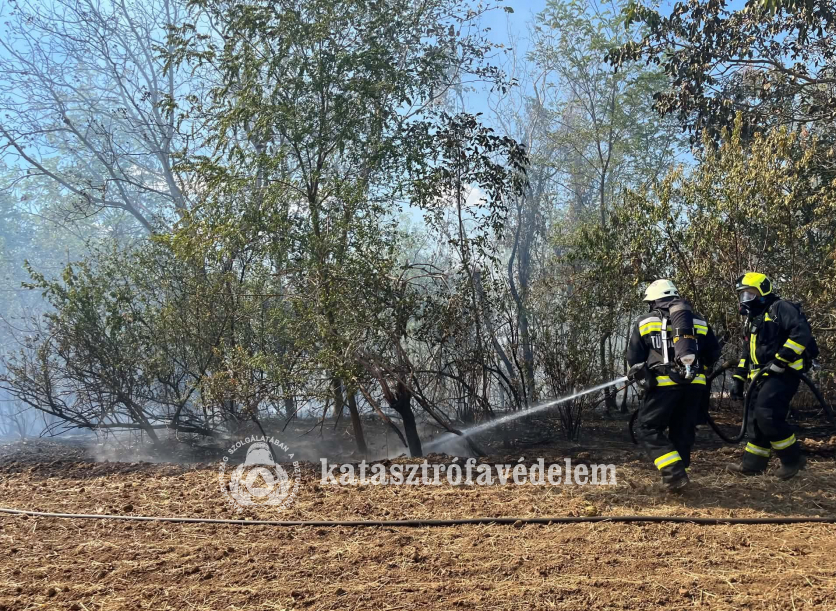 tűzoltók oltják a területet