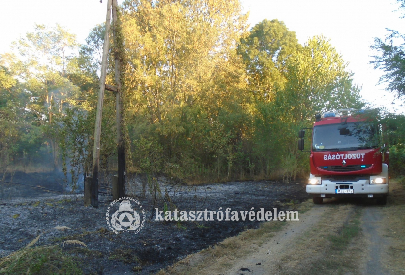 tűzoltóautó a leégett terület mellett