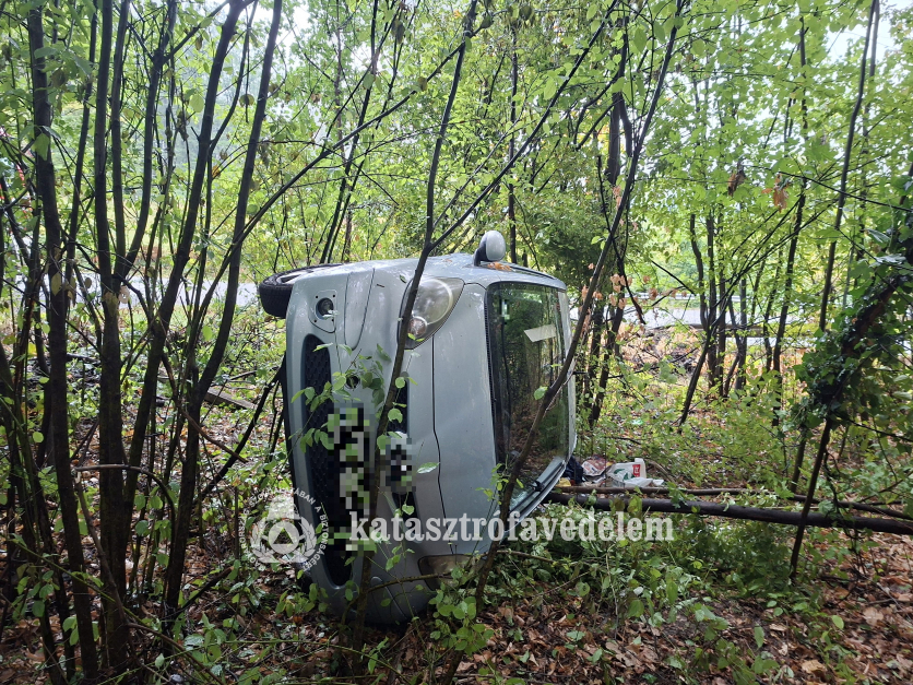 oldalára borult autó az erdőben