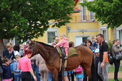 Katasztrófavédelem