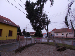 Katasztrófavédelem
