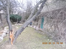 Katasztrófavédelem